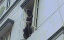 Video: Trộm khổ sở vì kẹt ngoài cửa sổ tầng 3, phải nhờ lính cứu hỏa giúp