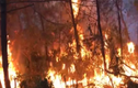 Triệu tập người phụ nữ đốt rác gây cháy rừng khiến hơn 1.000 người tham gia dập lửa