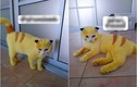 Bị “con sen” bôi thuốc trị nấm, “boss” bỗng bị hóa thành Pikachu