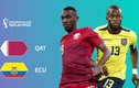 Nhận định World Cup 2022 Qatar vs Ecuador: Chủ nhà kỳ vọng