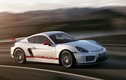 Ngắm Porsche Cayman GT4 phô diễn sức mạnh