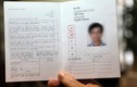 Giấy phép lái xe quốc tế được cấp tại Việt Nam từ 15/10