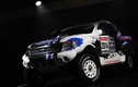 Ford sắp sản xuất bán tải Ranger hiệu suất cao