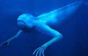 Bí ẩn "quái vật" khổng lồ giống con người dưới đáy đại dương