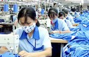 Nhiều lao động nữ xin “nghỉ hưu non” trước ngày 1/1/2018
