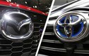 Đừng mơ hãng xe Mazda “chung mâm” với Toyota