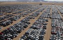 Hàng chục nghìn xe ôtô Volkswagen "phơi xác" sau bê bối khí thải