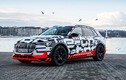 Audi sẽ ra mắt SUV chạy điện e-tron mới vào tháng 8/2018 