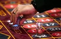 Lộ diện casino đầu tiên xem xét cho người Việt vào chơi