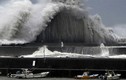 Nhật Bản 'tơi bời' trong siêu bão lớn nhất 25 năm qua