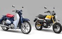 Honda Super Cub và Monkey 125 ra mắt tại Việt Nam?