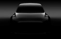 Lộ diện Tesla Model Y - SUV cỡ C chạy điện mới 