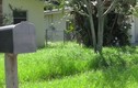 ‘Ngã ngửa’ trước nguy cơ mất nhà chỉ vì để cỏ mọc quá cao