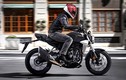 Xe môtô Honda CB300R 2019 trình làng, chỉ 113 triệu đồng