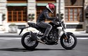 Honda CB300R từ 140 triệu tại Việt Nam "đấu" Yamaha MT-03