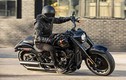 Harley-Davidson Fat Boy kỷ niệm 30 năm hơn 500 triệu đồng tại Mỹ 