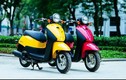 Người dùng xe máy dưới 50cc, xe máy điện phải có GPLX