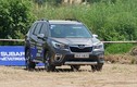 Nhà phân phối phản hồi về lỗi “cá vàng” trên xe Subaru