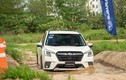 Cùng Subaru off-road 10 dạng địa hình khó ngay tại thủ đô Hà Nội