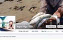 Đề nghị xử lý hình sự Facebook Ngoc Nga Tran bôi nhọ cơ quan báo chí