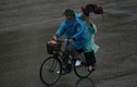 Thời tiết hôm nay 10/7: Bắc Bộ và Hà Nội mưa dông diện rộng