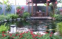 Cận cảnh sân vườn bắt mắt của “nhà giàu” Hà Nội 