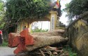Hưng Yên: Sư trụ trì lộng hành vòi tiền, phá chùa