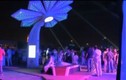 Dubai chơi trội với cây cọ phát wifi toàn bãi biển