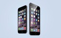 Hé lộ màn ra mắt iPhone 6S và iPhone 6S Plus