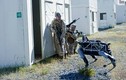 Xem chó robot tập trận cùng Thủy quân lục chiến Mỹ