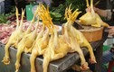 Cách nhận biết thịt gà nhuộm hóa chất vàng da độc hại