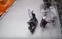 Đi xe máy trộm gà chọi giữa ban ngày ở Phú Thọ