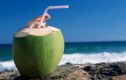 Những điều nhất định phải nhớ khi uống nước dừa