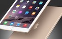 Diện mạo đẹp ngỡ ngàng của iPad trong 2 năm tới