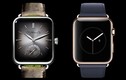 Ngắm đồng hồ giống Apple Watch giá hơn 500 triệu ở VN