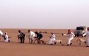 Chó săn mồi trên sa mạc được huấn luyện như thế nào?