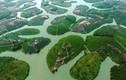Ngắm ốc đảo chè đẹp nhất Việt Nam từ trên cao