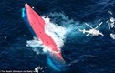 Tàu đâm nhau ngoài khơi Nhật Bản, 5 người chết