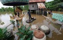Chùm ảnh: Dân Campuchia vật lộn đối phó lũ lụt