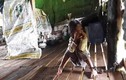 Phẫn nộ bé 4 tuổi bị “mẹ nuôi” xích suốt 2 năm