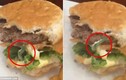 Kinh sợ phát hiện sâu ngọ nguậy trong bánh burger