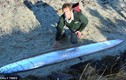Xôn xao sinh vật lạ dạt vào bờ biển New Zealand