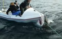 Kinh hoàng cá mập "khủng" tấn công thuyền của nhóm làm phim