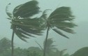 Video: Siêu bão với sức gió 220 km/h đổ bộ Philippines