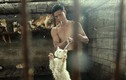 Bên trong các lò mổ chó mèo  ở Trung Quốc