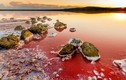 Hồ muối bí ẩn đỏ rực như trên sao Hỏa