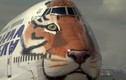 Công nghệ biến máy bay Boeing 747-400 thành hổ Siberia