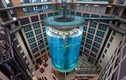 Bể thủy sinh hình trụ độc đáo trong khách sạn Đức