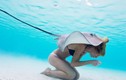 Người mẫu bikini mạo hiểm lấy cá đuối gai độc che thân