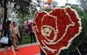Lễ hội hoa hồng Bulgaria phải thay hoa giả bằng hoa thật